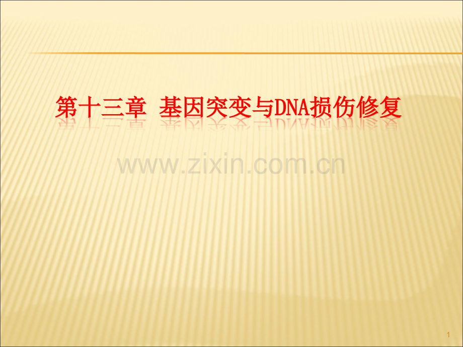 基因突变讲解PPT学习课件.ppt_第1页