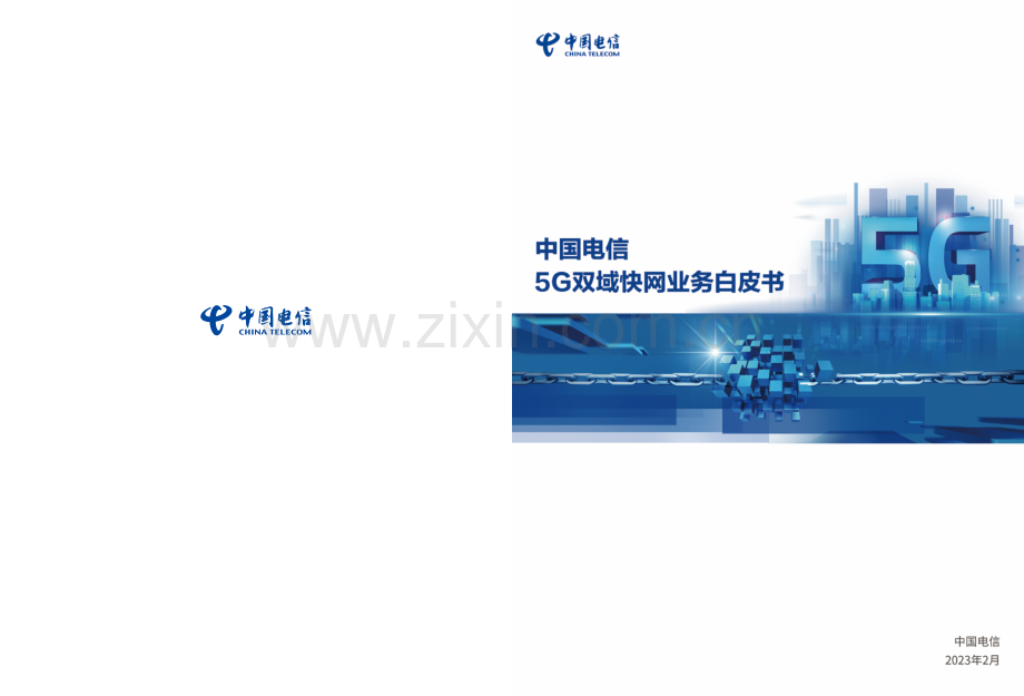 中国电信5G双域快网业务白皮书.pdf_第1页