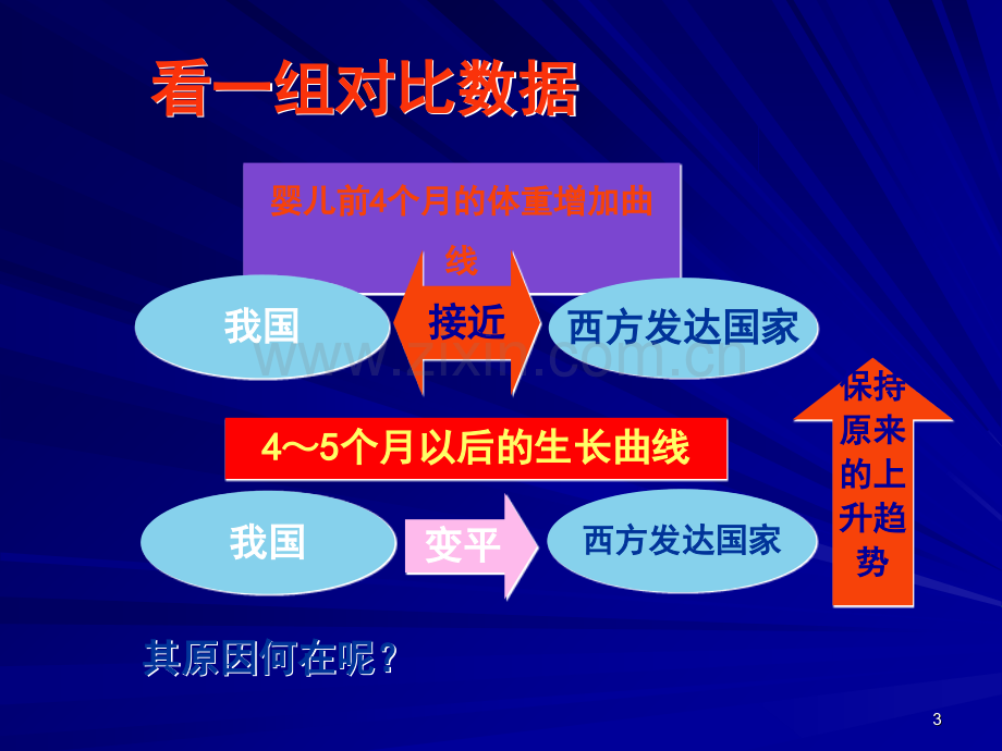 婴儿的辅食添加与制作(课堂PPT).ppt_第3页