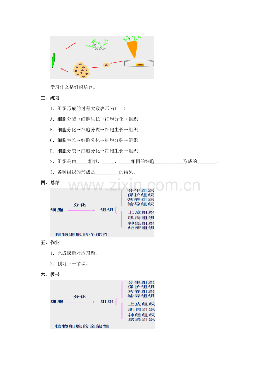 《细胞分化形成组织》教案.doc_第3页