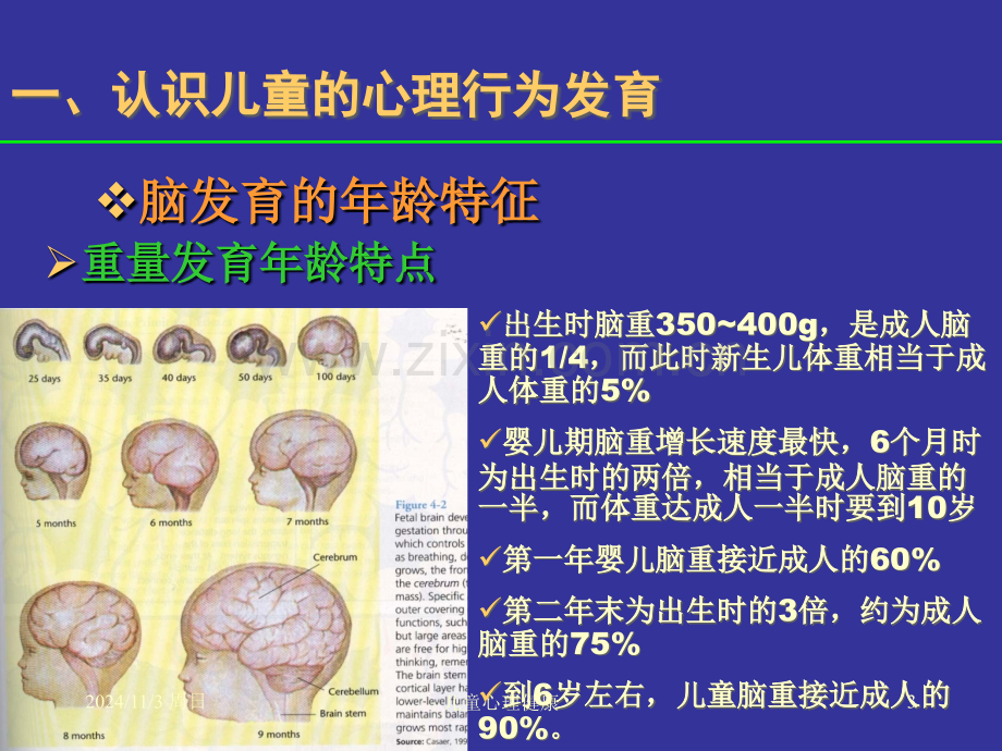 妇幼保健学--儿童心理健康促进优秀PPT.ppt_第3页