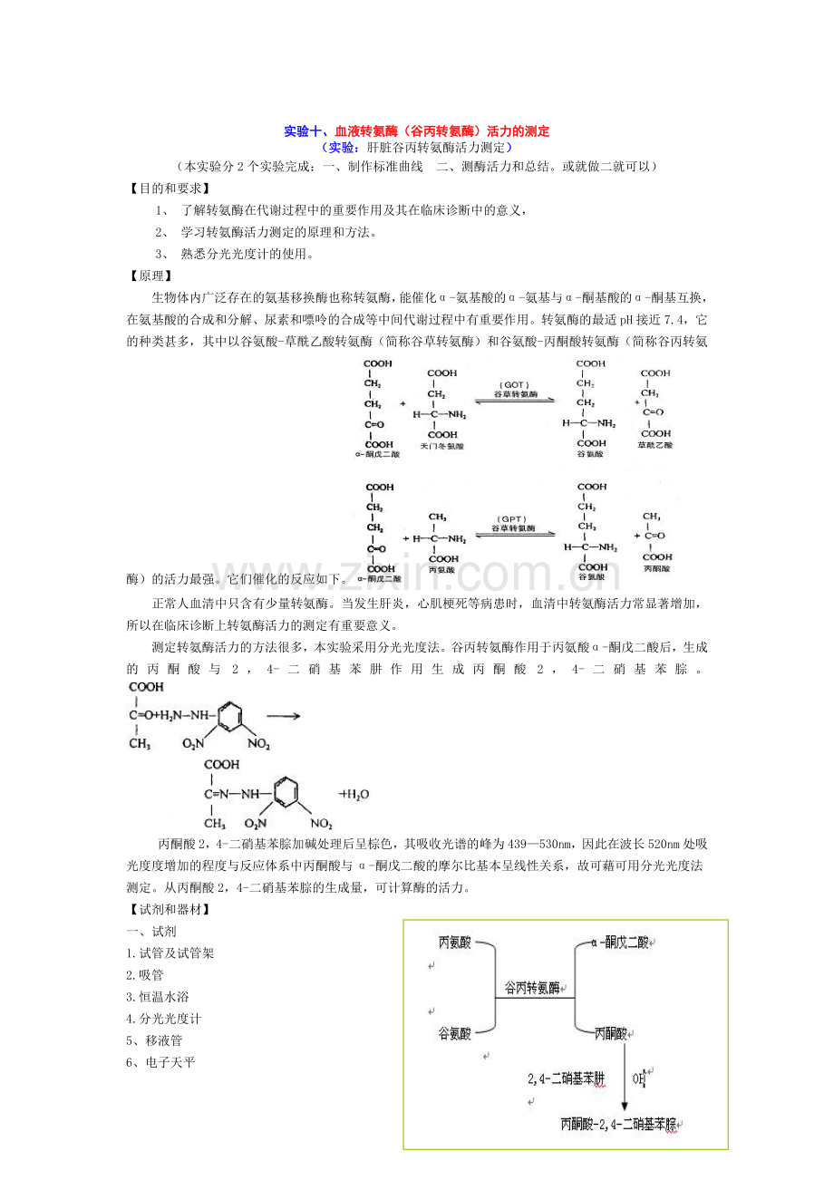 实验十-血液转氨酶(谷丙转氨酶)活力的测定.doc_第1页