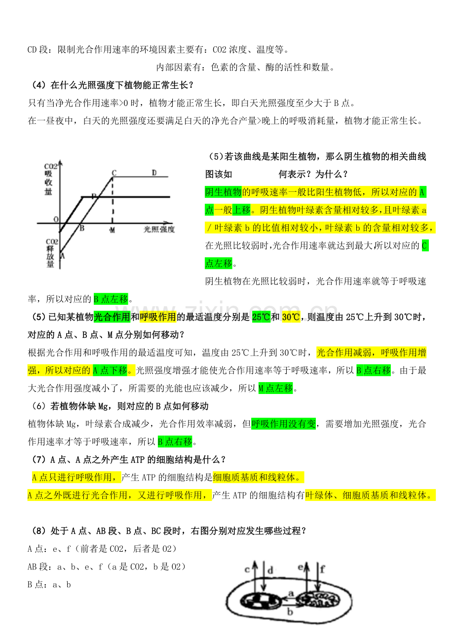 光合作用和呼吸作用的相关曲线图归纳总结.doc_第2页