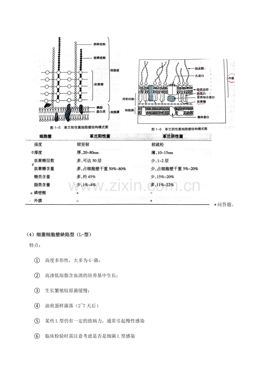 医学微生物学复习重点.doc_第3页