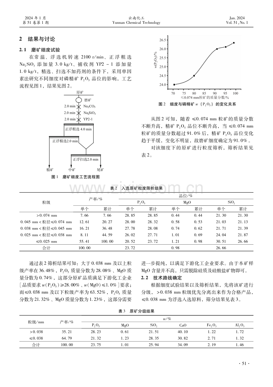 云南某风化磷矿浮选试验研究.pdf_第2页