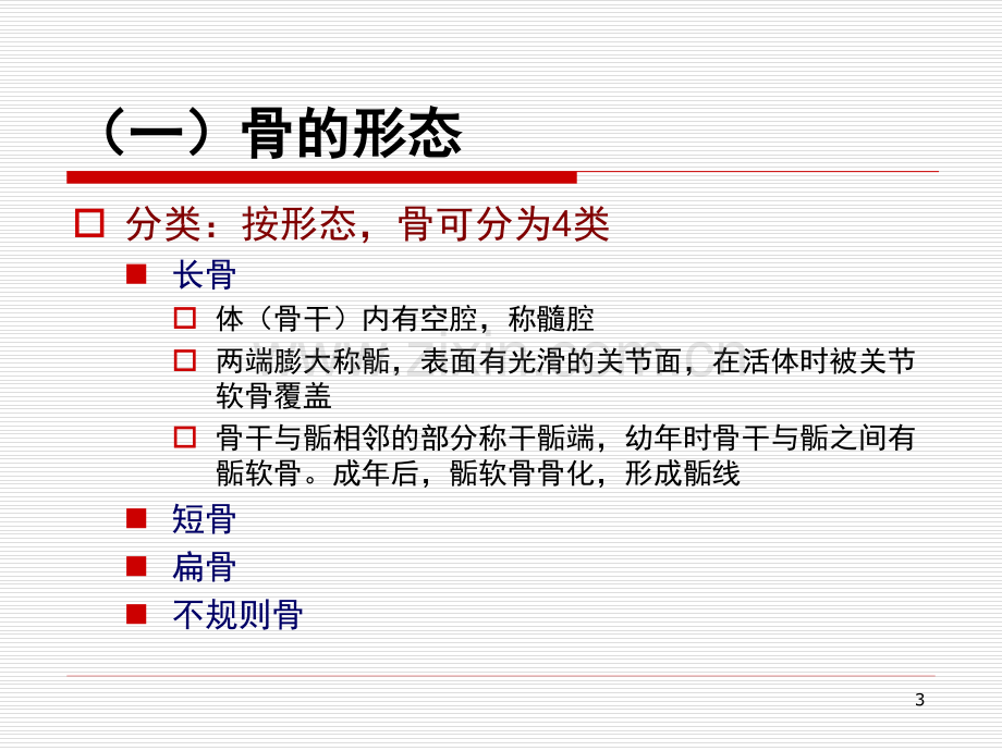 人体解剖学-运动系统PPT参考课件.ppt_第3页