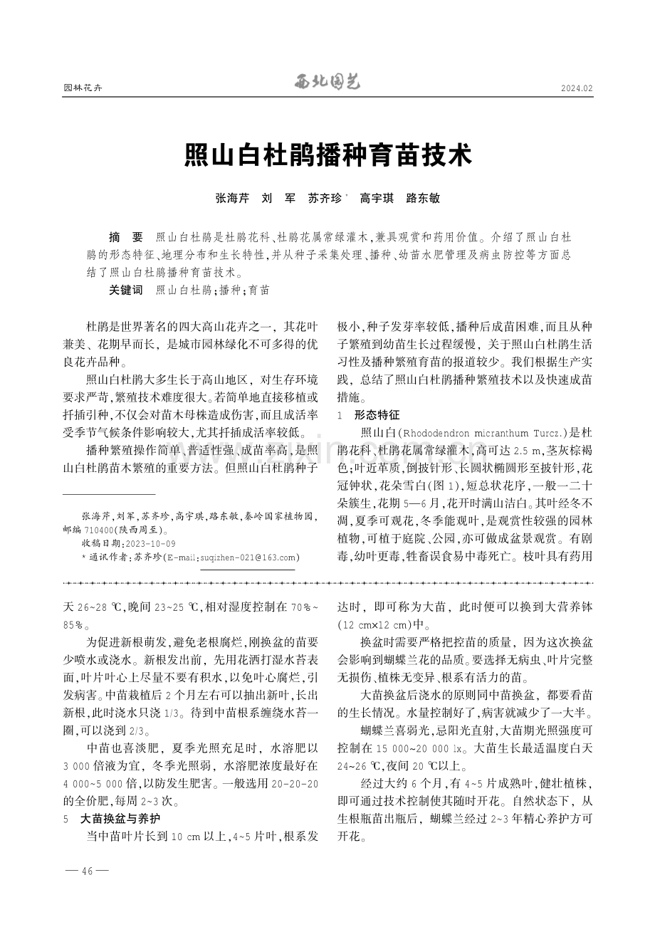 照山白杜鹃播种育苗技术.pdf_第1页