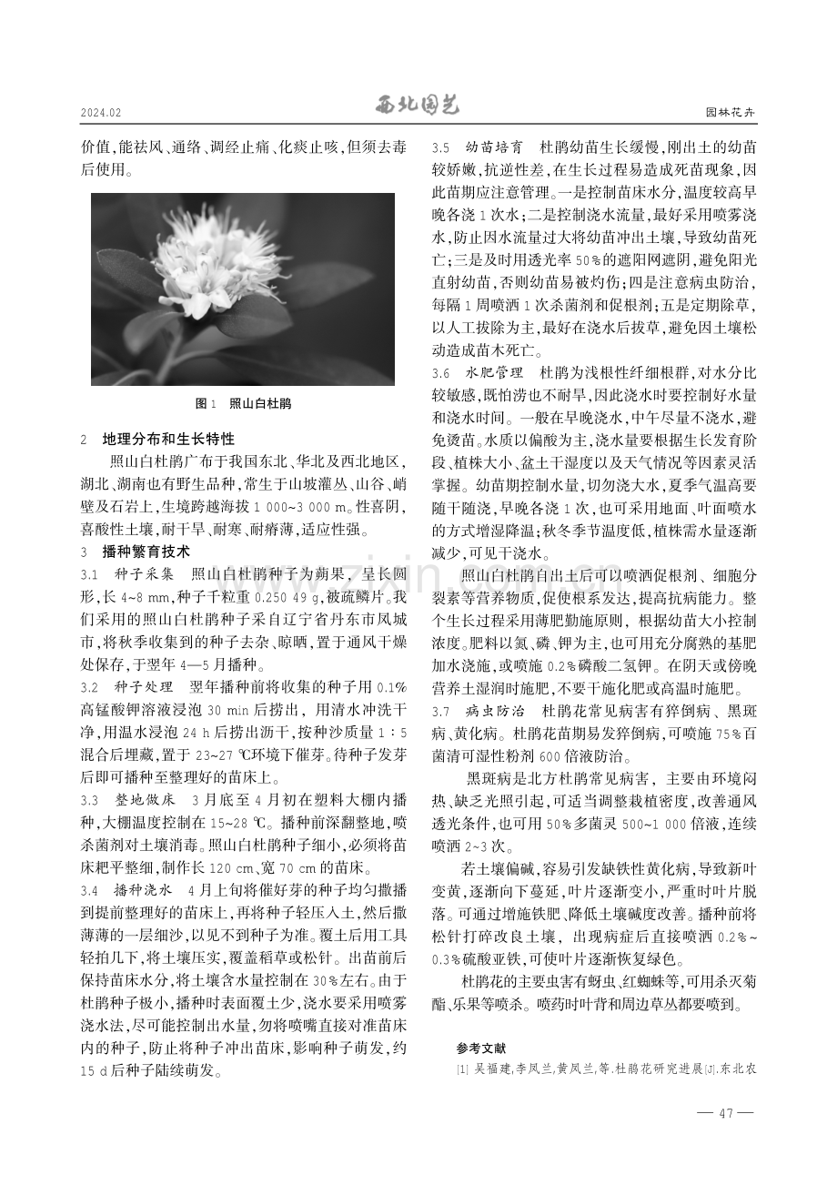 照山白杜鹃播种育苗技术.pdf_第2页