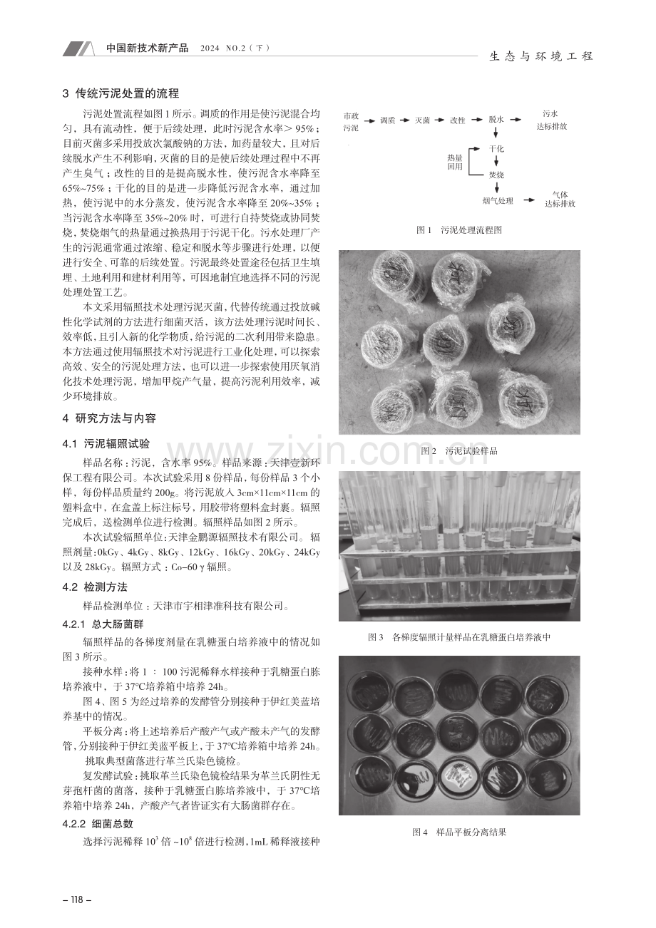 辐照技术在污泥无害化处理中的应用研究.pdf_第2页