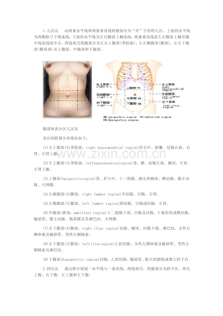 体格检查——腹部检查.doc_第3页