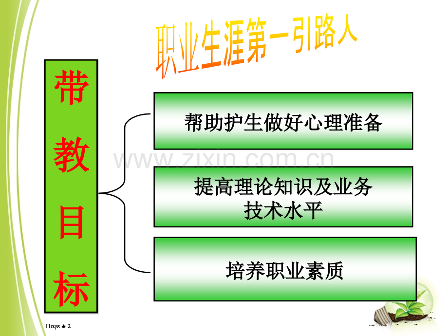 如何做好一名带教老师(课堂PPT).ppt_第2页