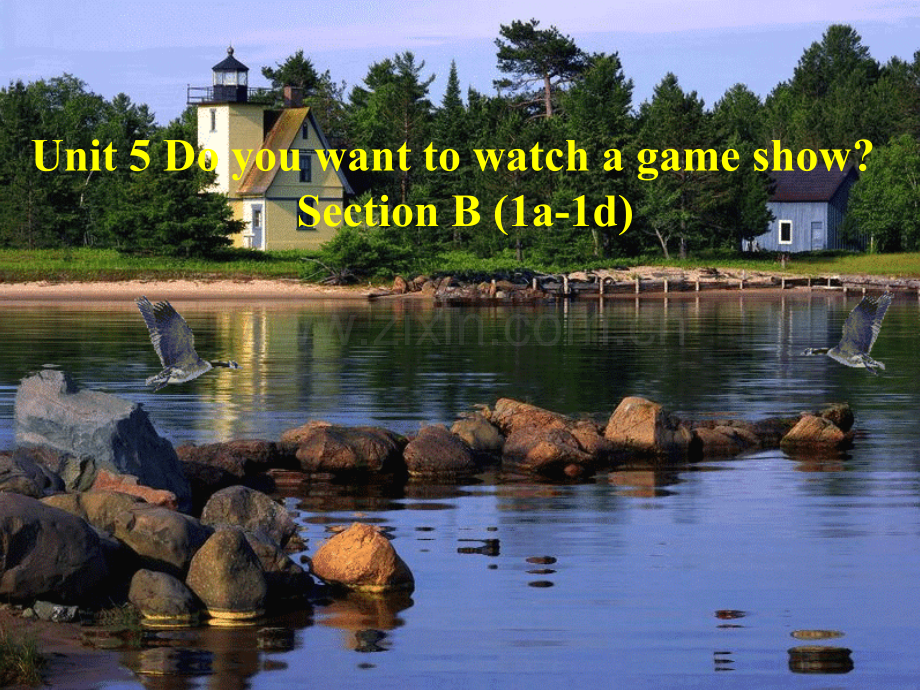 unit-5--Do-you-want-to-watch-a-game-showSectionB(1a-1d).ppt_第1页