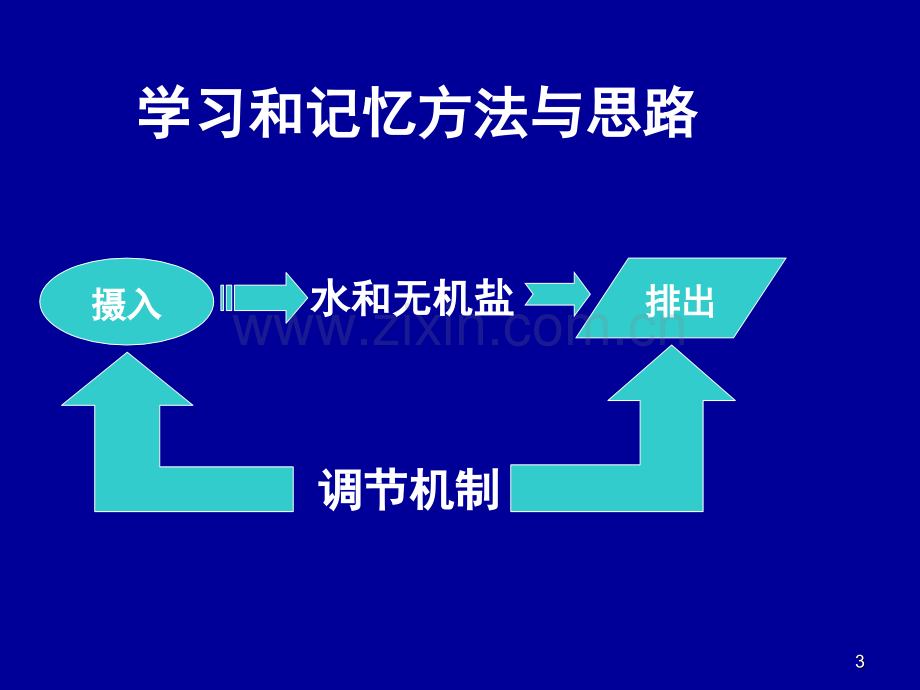 苏教版必修三水盐平衡调节(课堂PPT).ppt_第3页