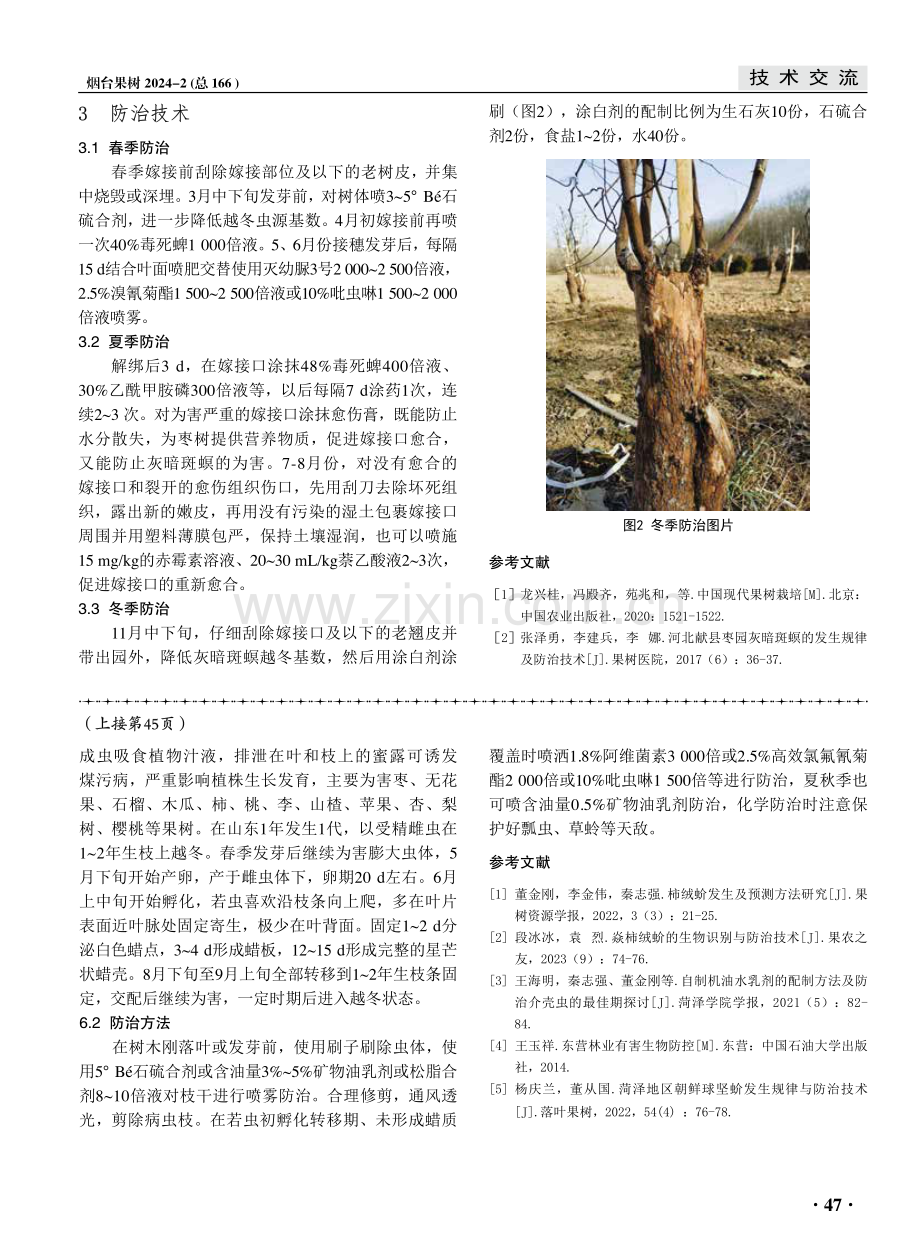 菏泽果树主要蚧类害虫发生规律及防治要点.pdf_第3页