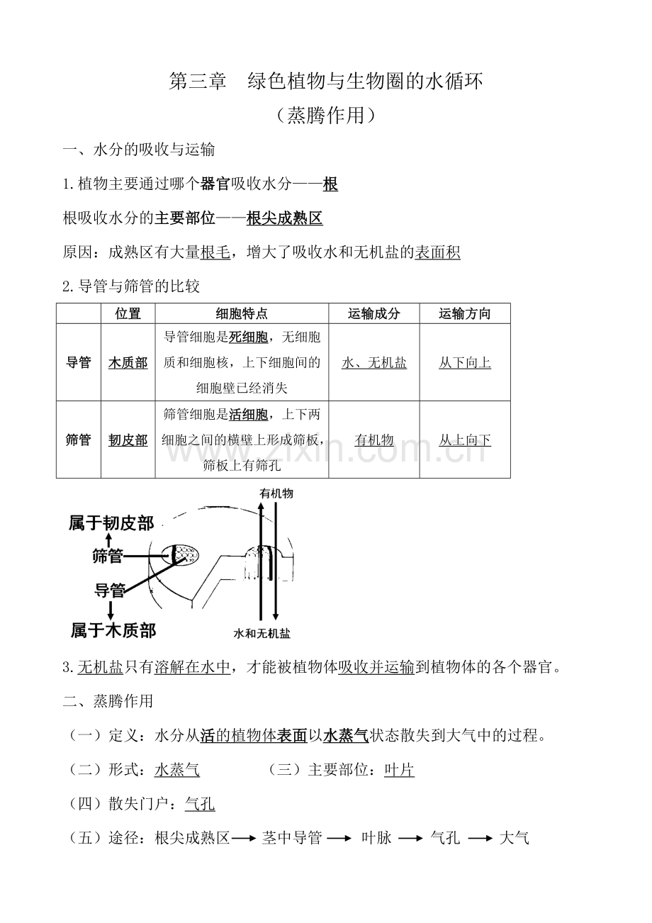 蒸腾作用.doc_第1页