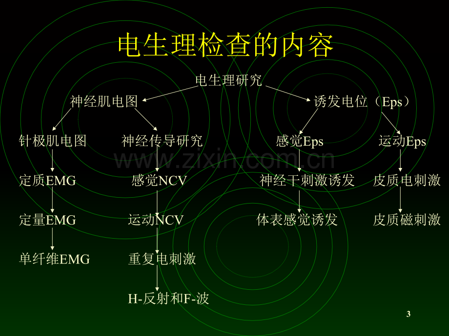 周围神经损害的电生理检查课件.ppt_第3页