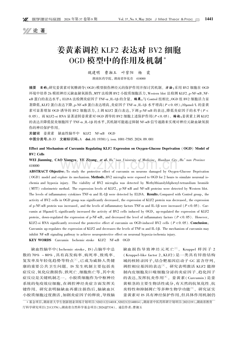 姜黄素调控KLF2表达对BV2细胞OGD模型中的作用及机制.pdf_第1页