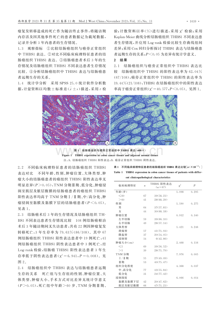 结肠癌组织THBS1表达与临床病理特征及远期生存的关系.pdf_第3页