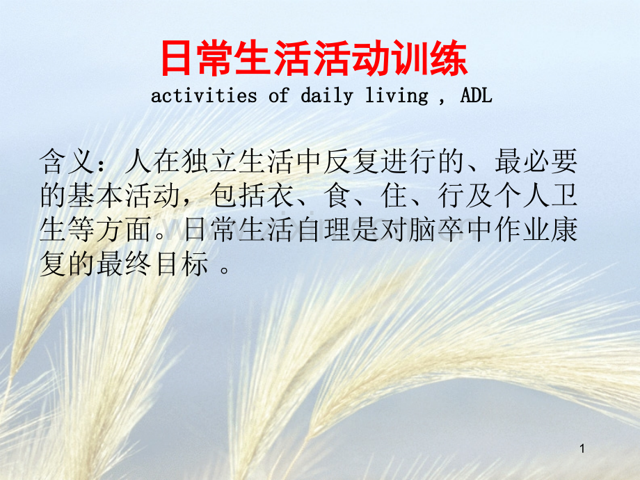 ADL训练(课堂PPT).ppt_第1页