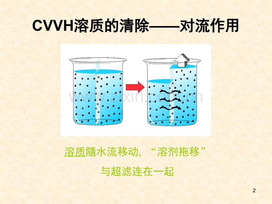 CRRT治疗剂量的计算课件.ppt_第2页