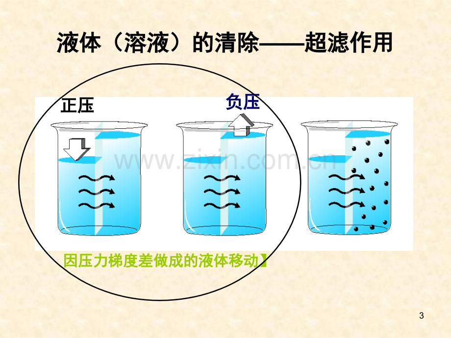 CRRT治疗剂量的计算课件.ppt_第3页