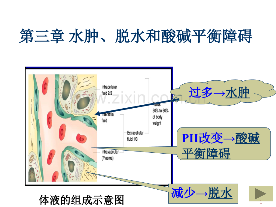 动物病理学-水肿和脱水PPT参考课件.ppt_第1页