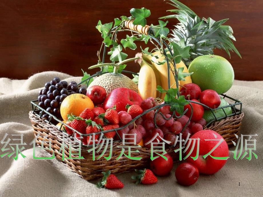 7-7-1绿色植物是食物之源(课堂PPT).ppt_第1页