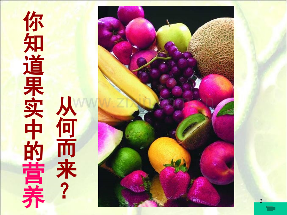 7-7-1绿色植物是食物之源(课堂PPT).ppt_第2页