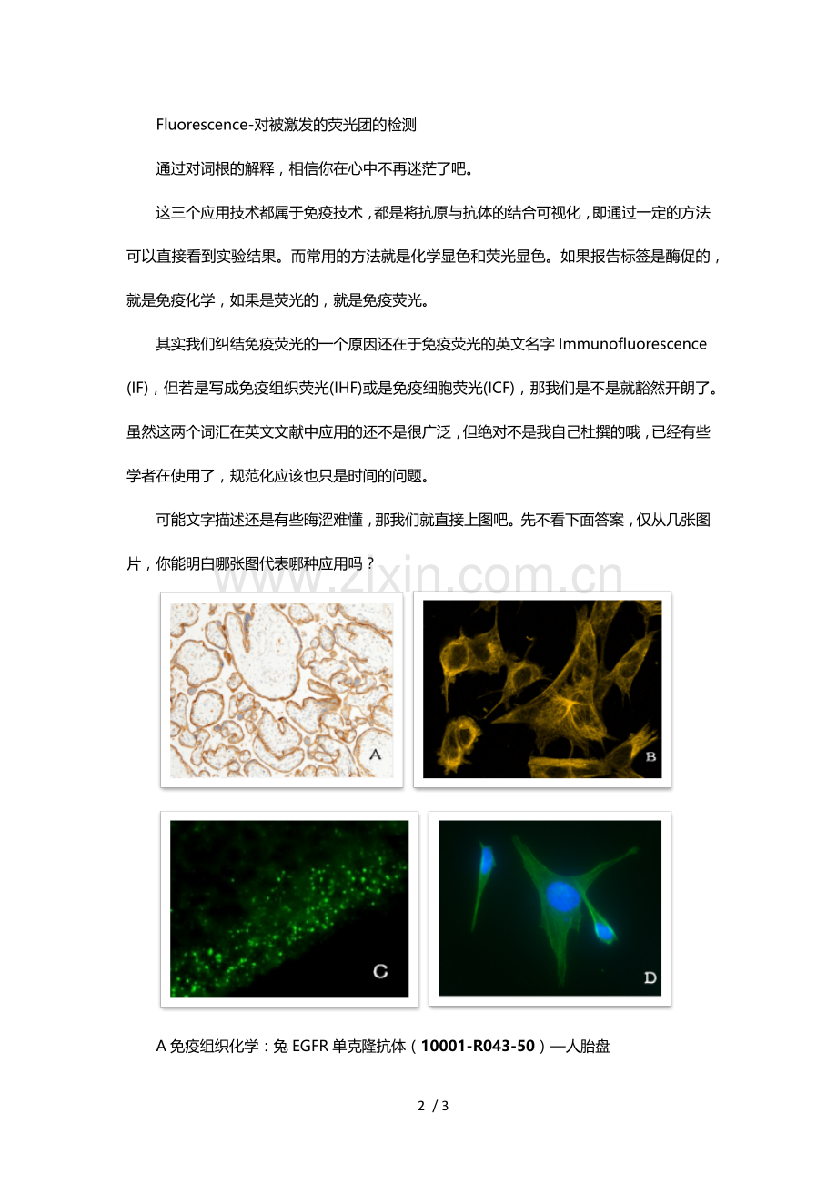 免疫组化和免疫荧光的区别.doc_第2页