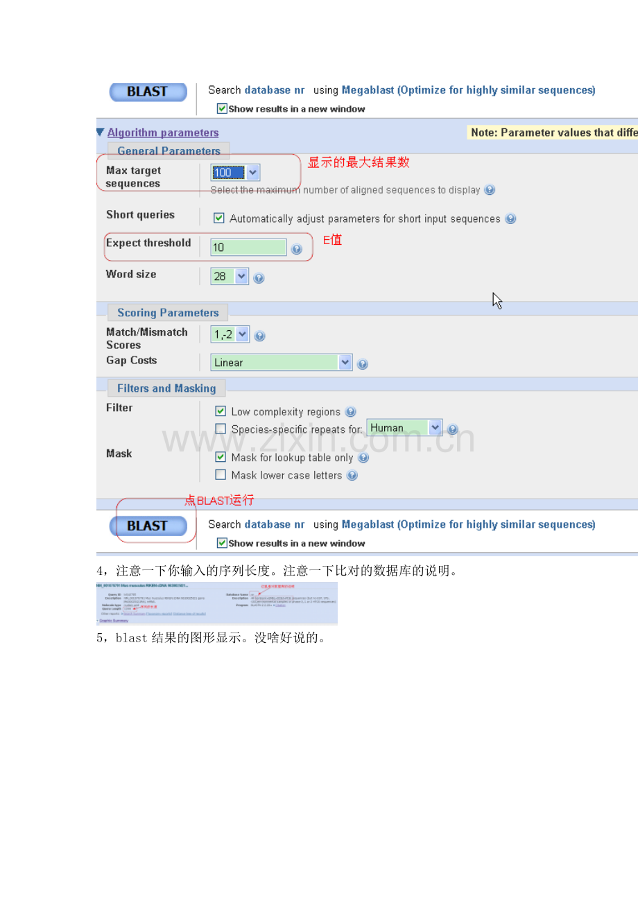 NCBI在线BLAST使用方法与结果详解.doc_第3页