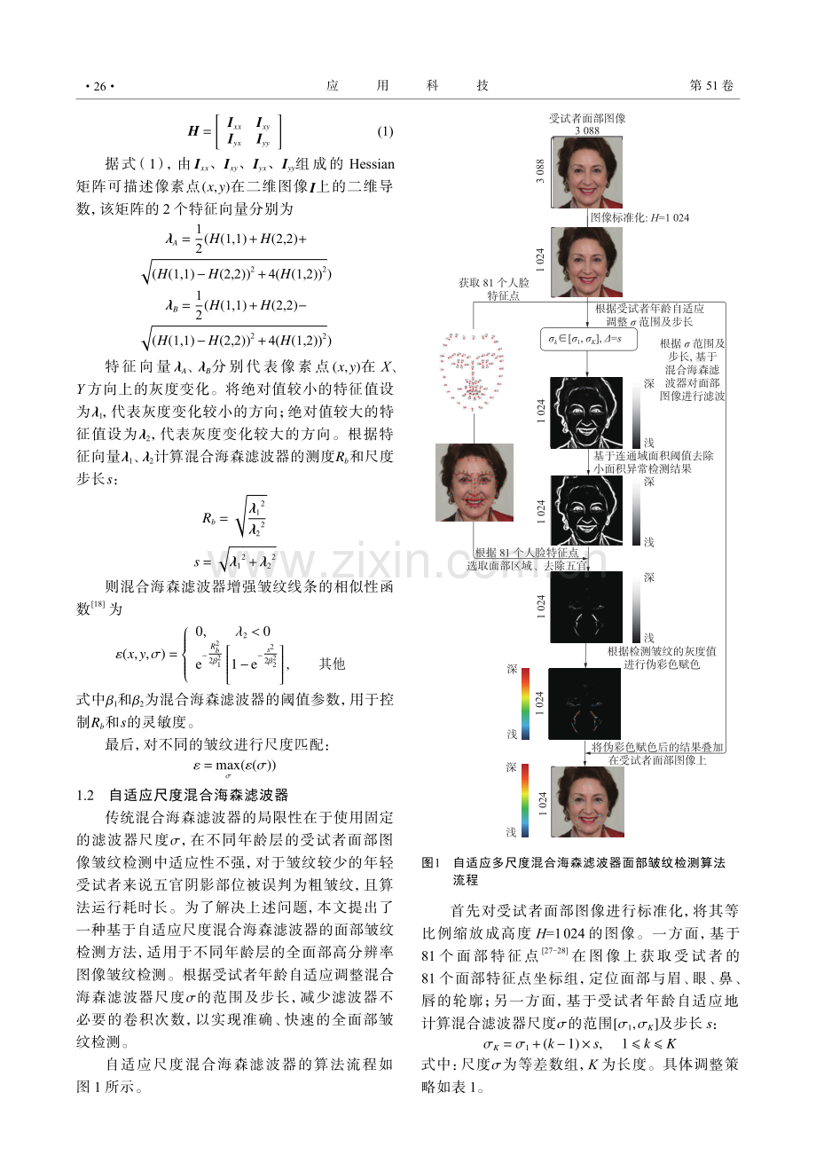 基于自适应尺度混合海森滤波器的面部皱纹检测及评分.pdf_第3页