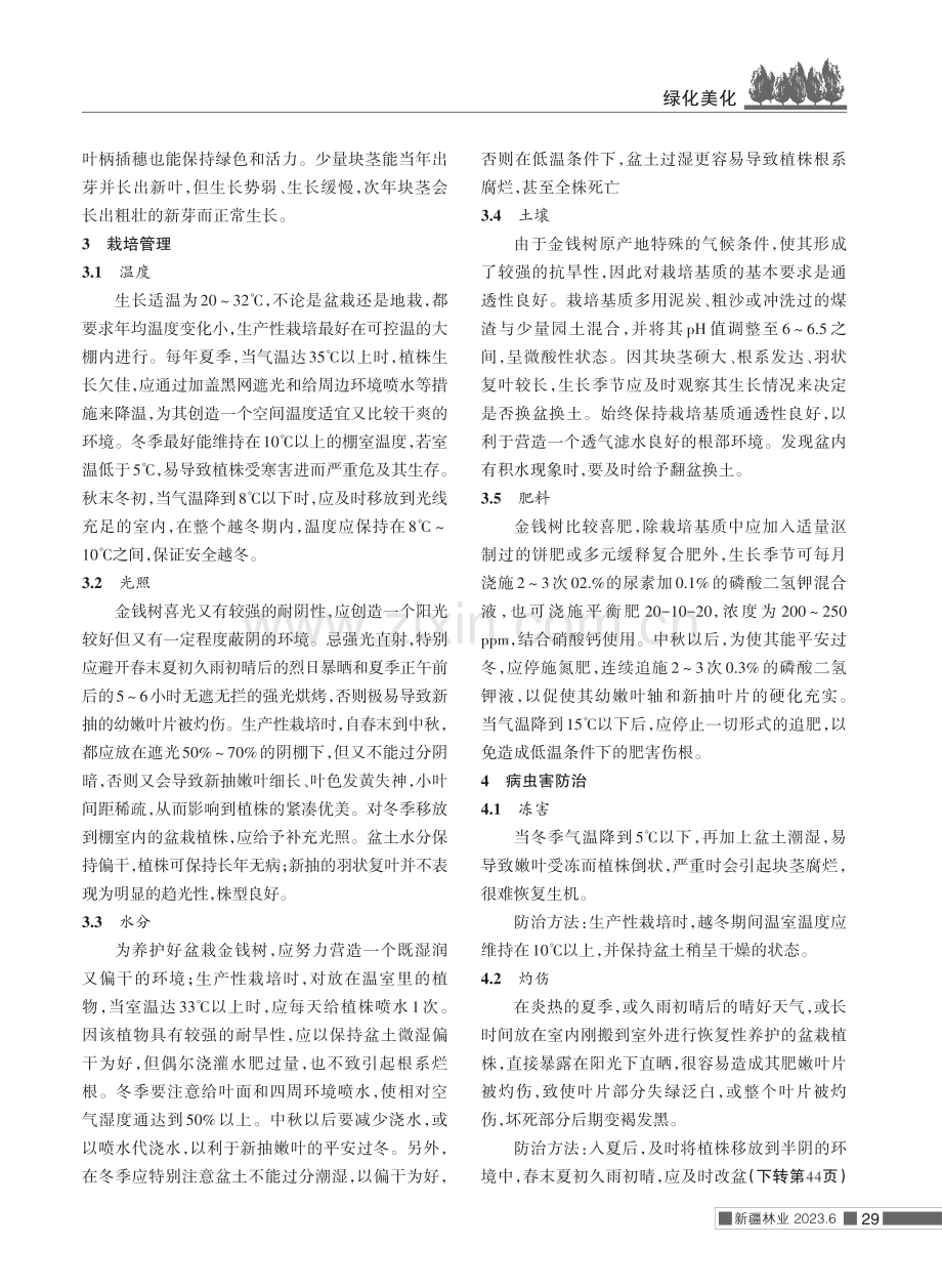 金钱树栽培技术.pdf_第2页