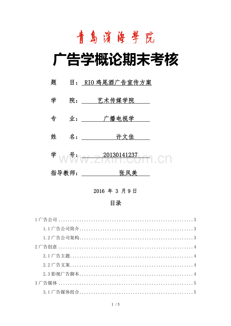 RIO鸡尾酒广告宣传方案.doc_第1页