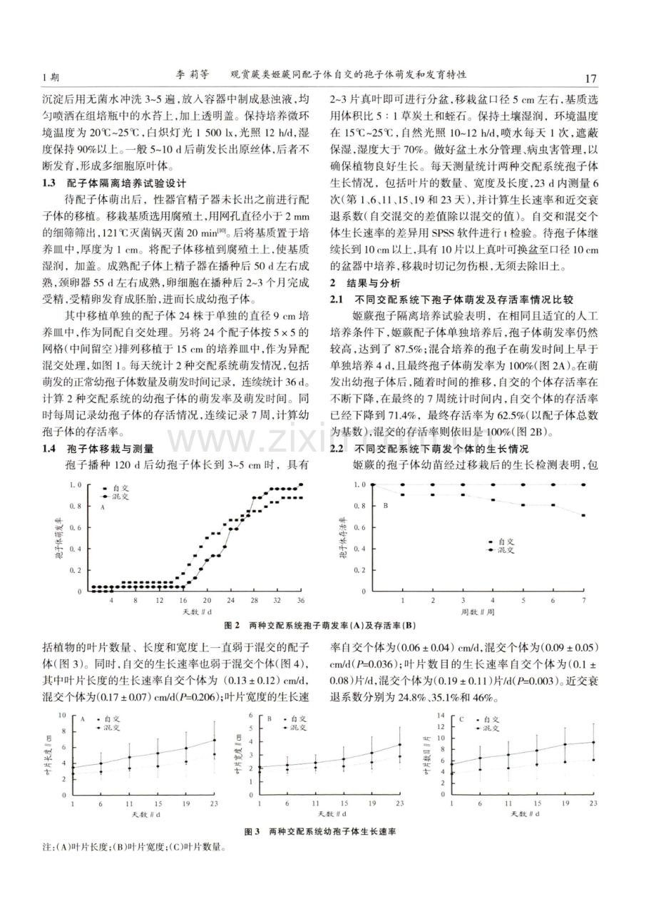 观赏蕨类姬蕨同配子体自交的孢子体萌发和发育特性.pdf_第3页