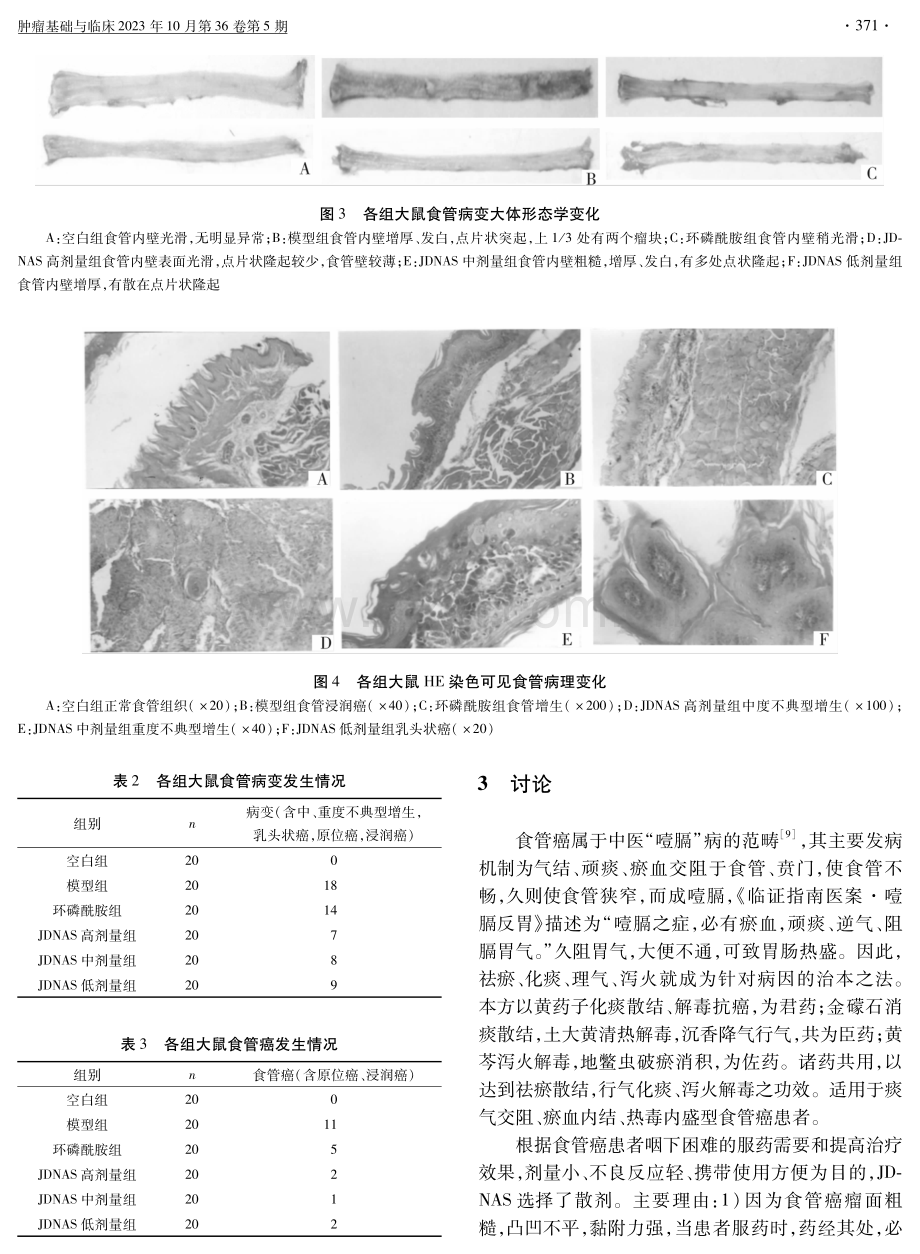 金铎逆癌散对甲基苄基亚硝胺诱发大鼠食管癌的影响.pdf_第3页