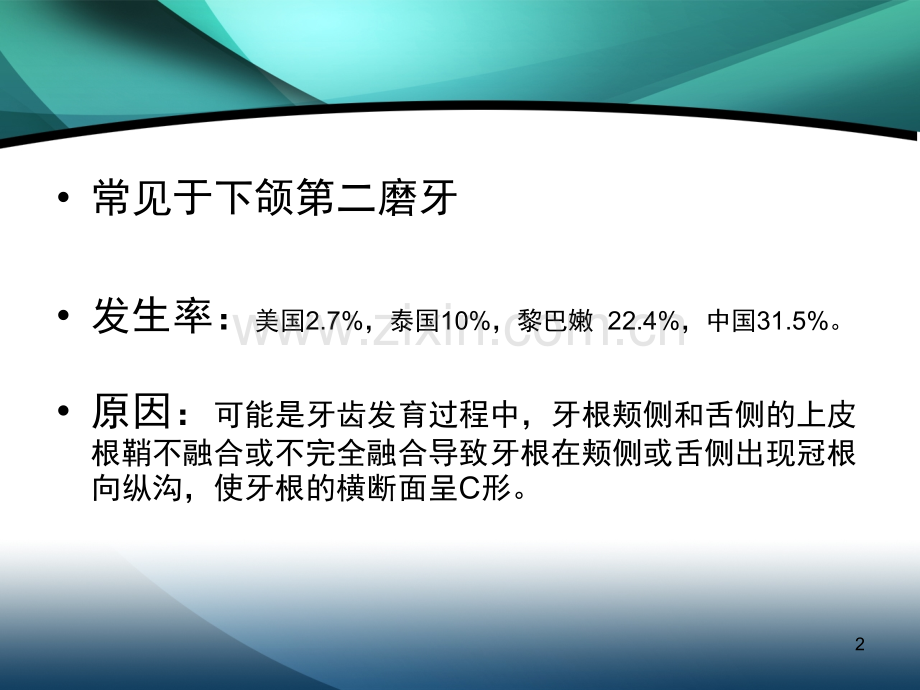 C形根管的分类及治疗(课堂PPT).ppt_第2页