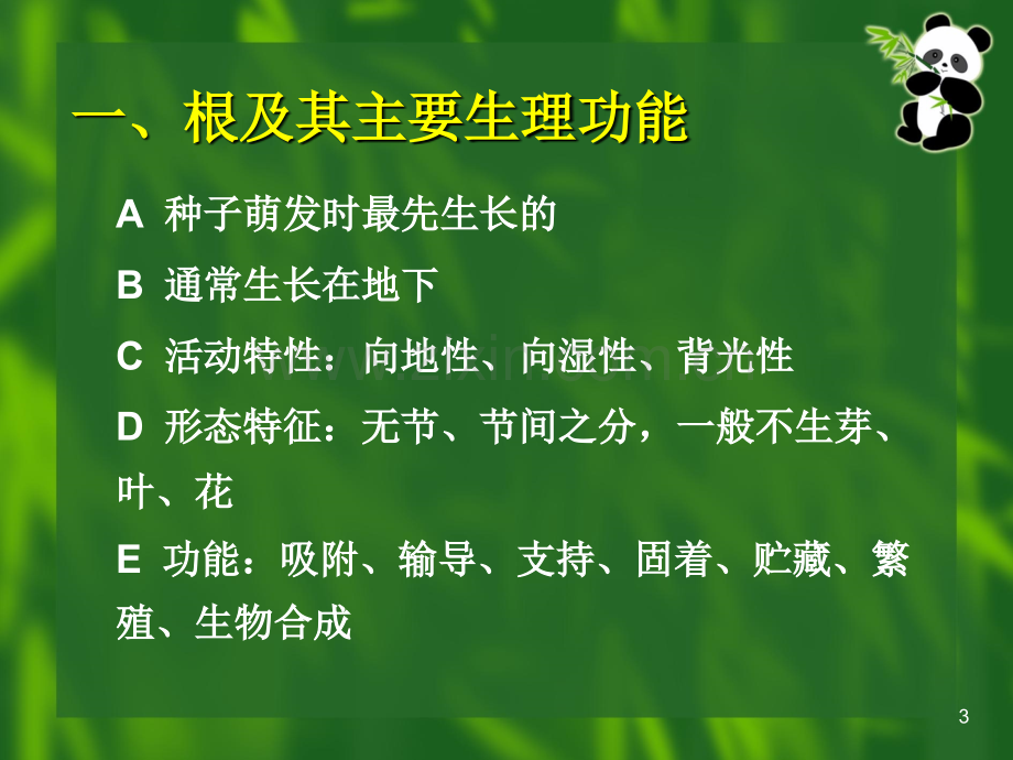 《植物学》课件：根.ppt_第3页