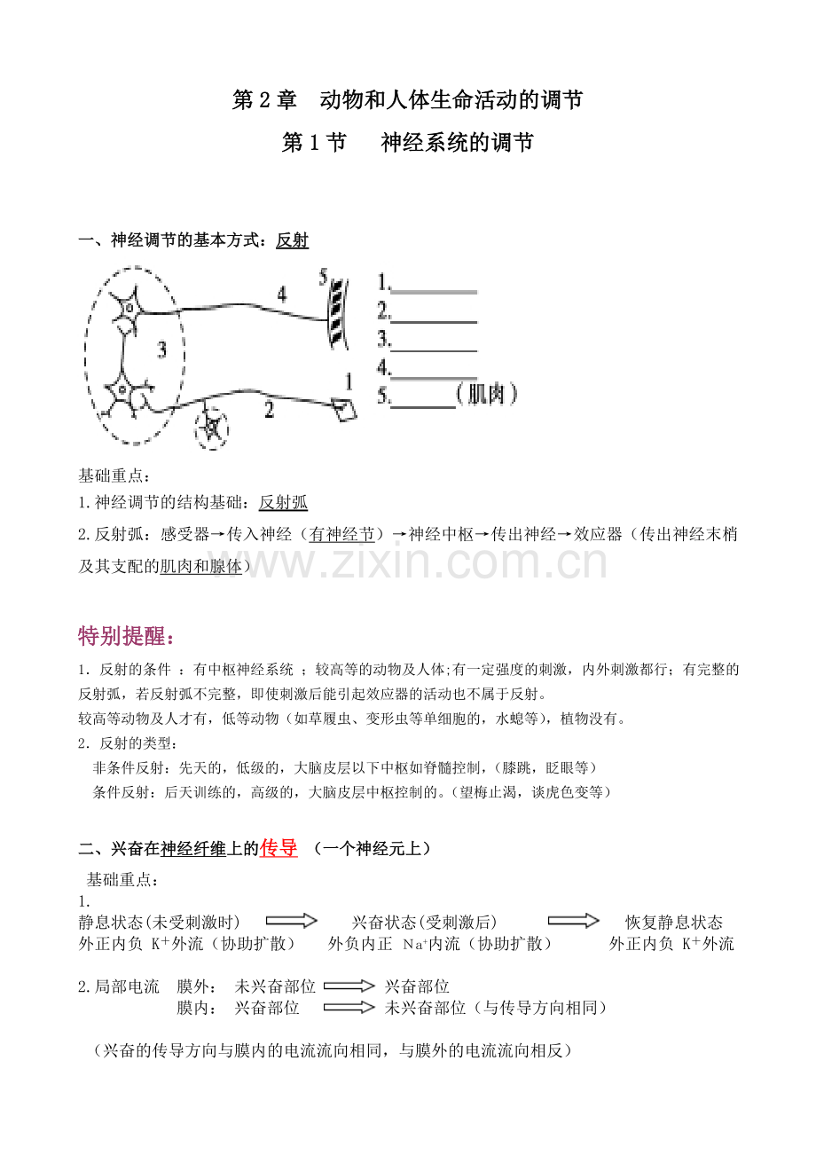 神经系统的调节知识点.doc_第1页