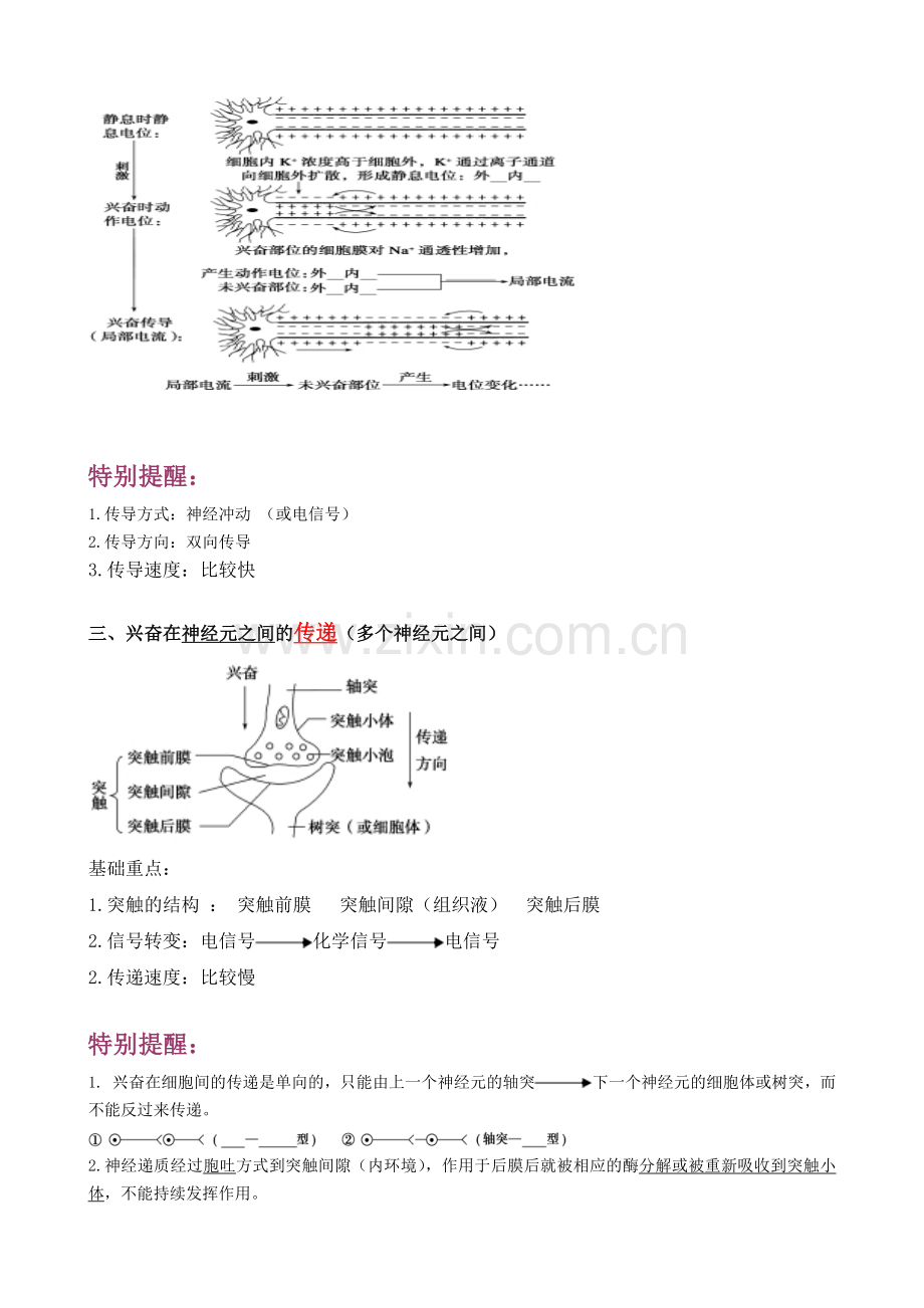 神经系统的调节知识点.doc_第2页