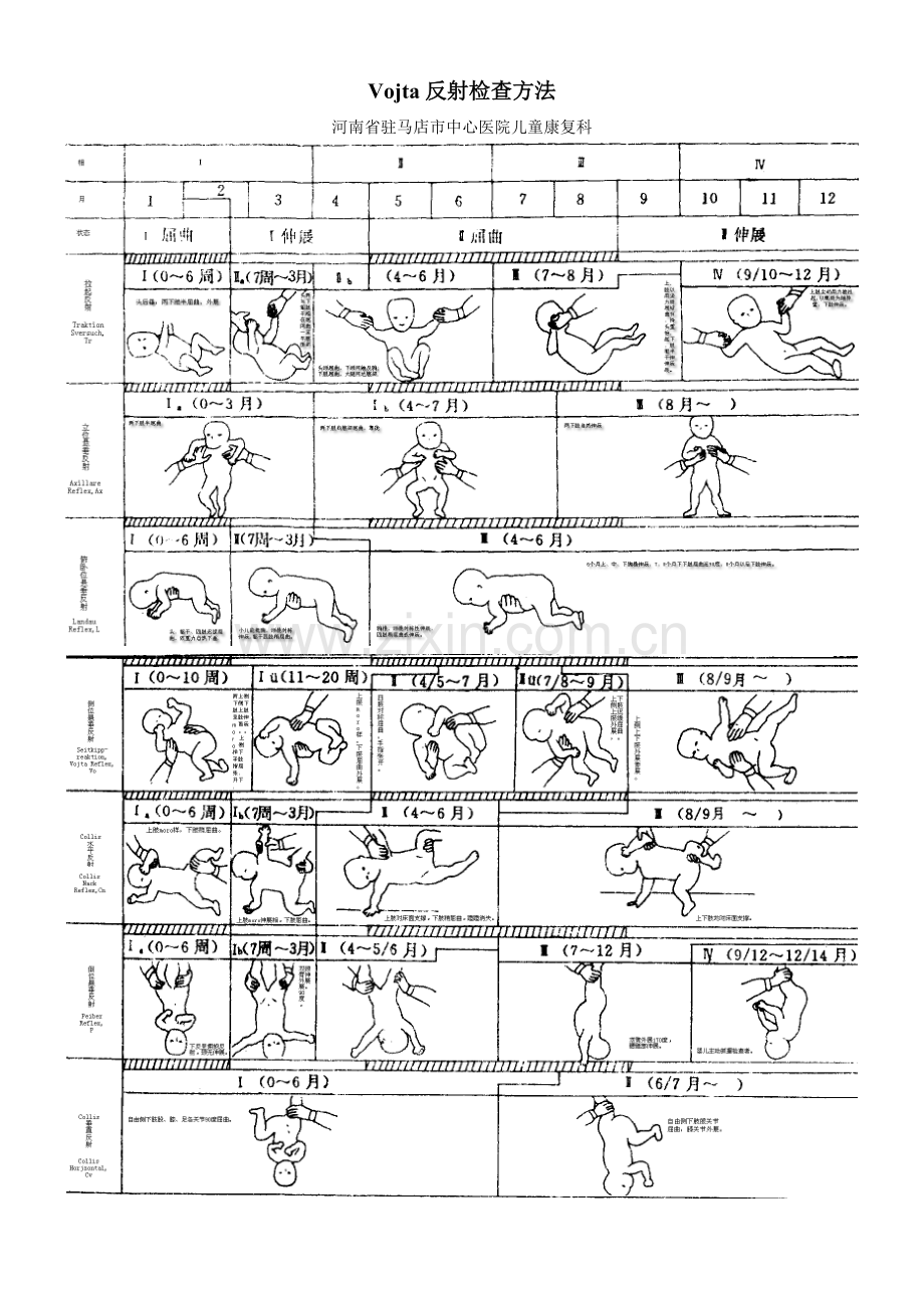 Vojta姿势反射图示.doc_第1页