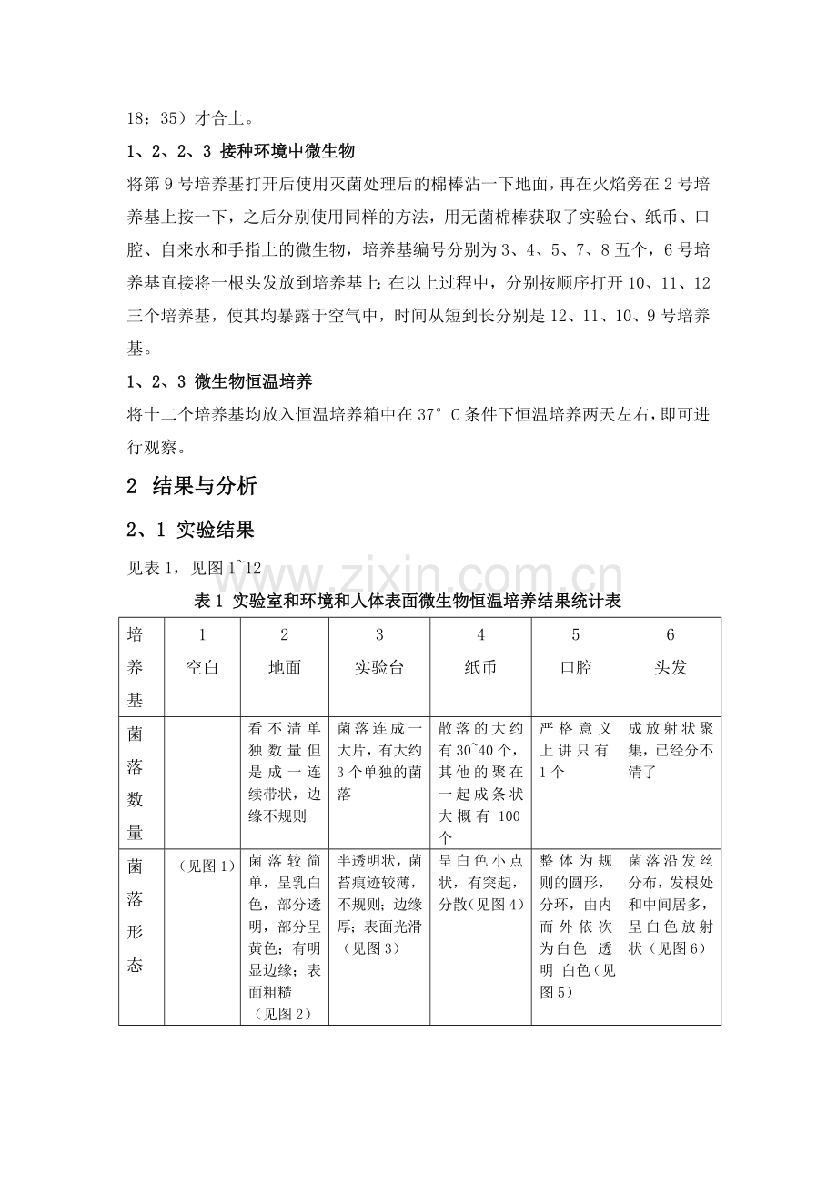 微生物学实验报告-实验室环境和人体表面微生物检查1.doc_第3页