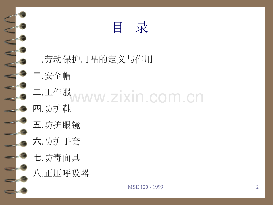 劳动防护用品的正确使用PPT.ppt_第2页