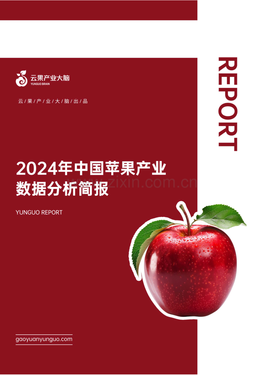 2024年中国苹果产业数据分析报告.pdf_第1页