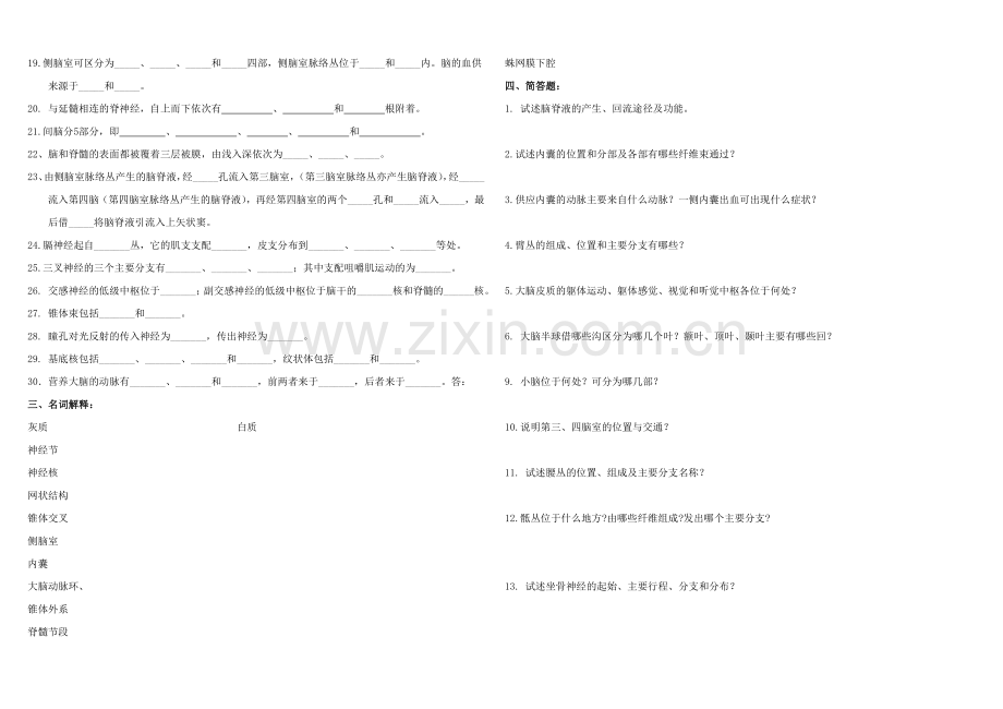 神经系统解剖学习题.doc_第2页