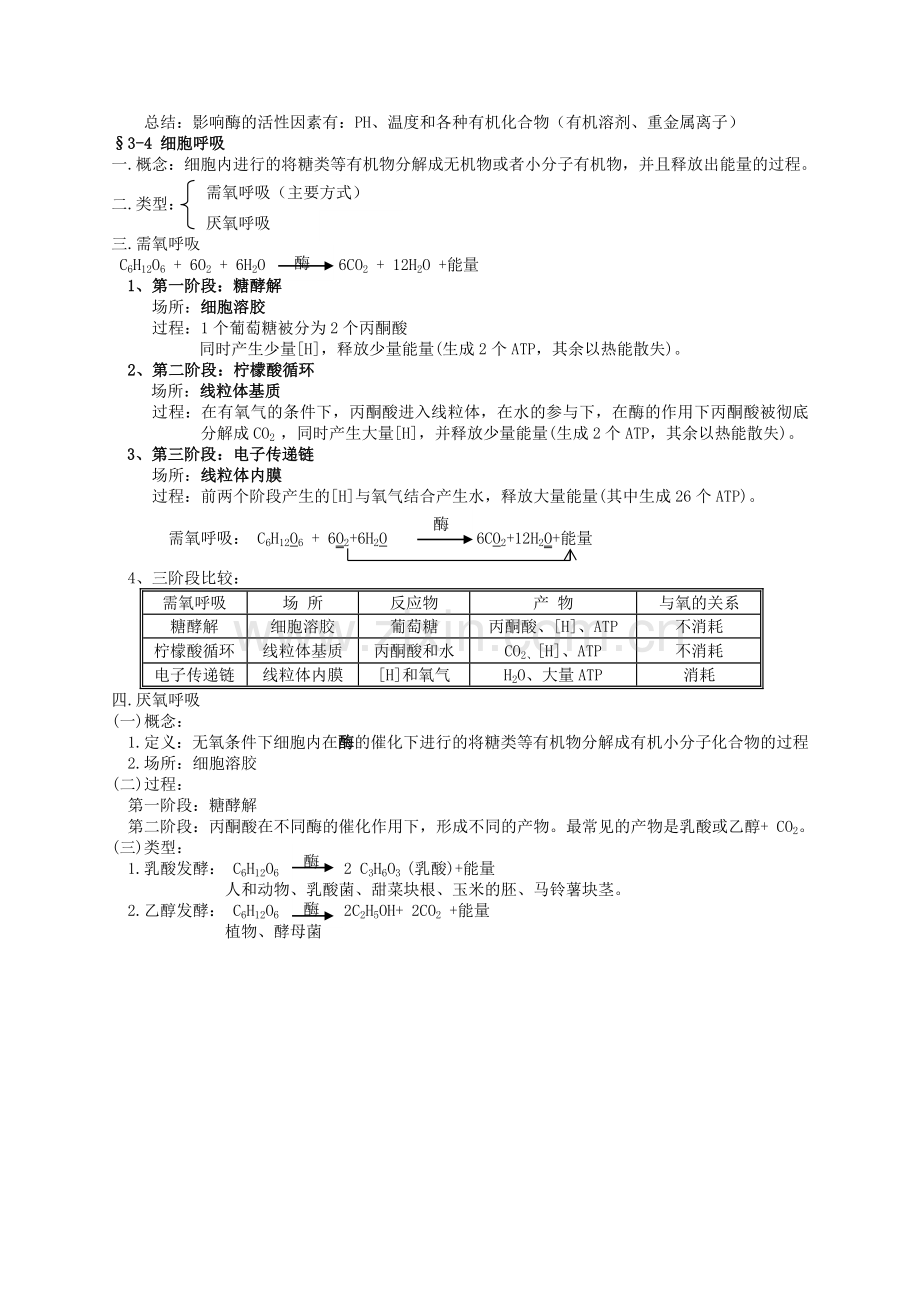 3.细胞代谢-知识整理.doc_第3页