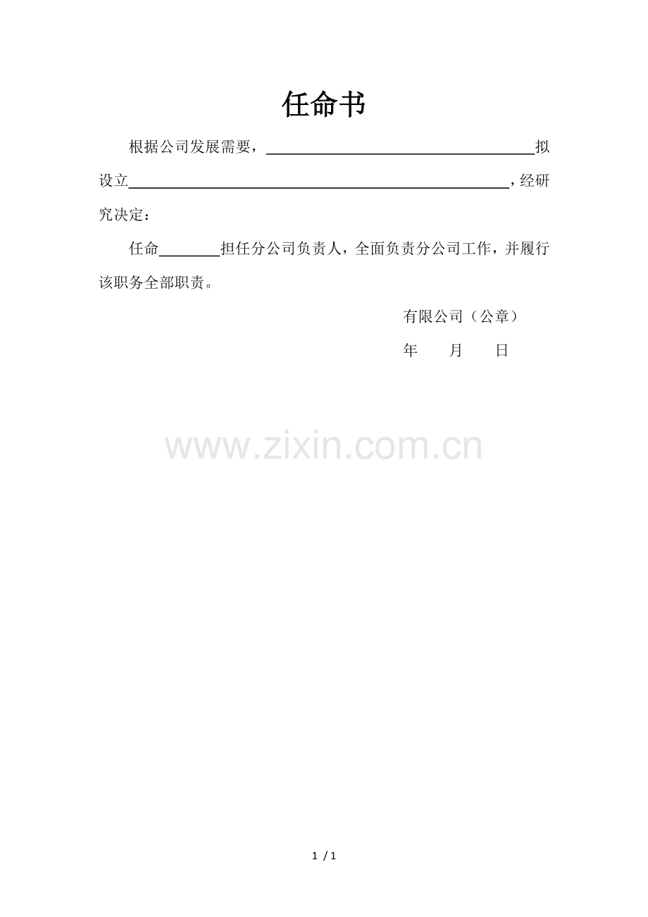 分公司负责人任职文件任命书.docx_第1页