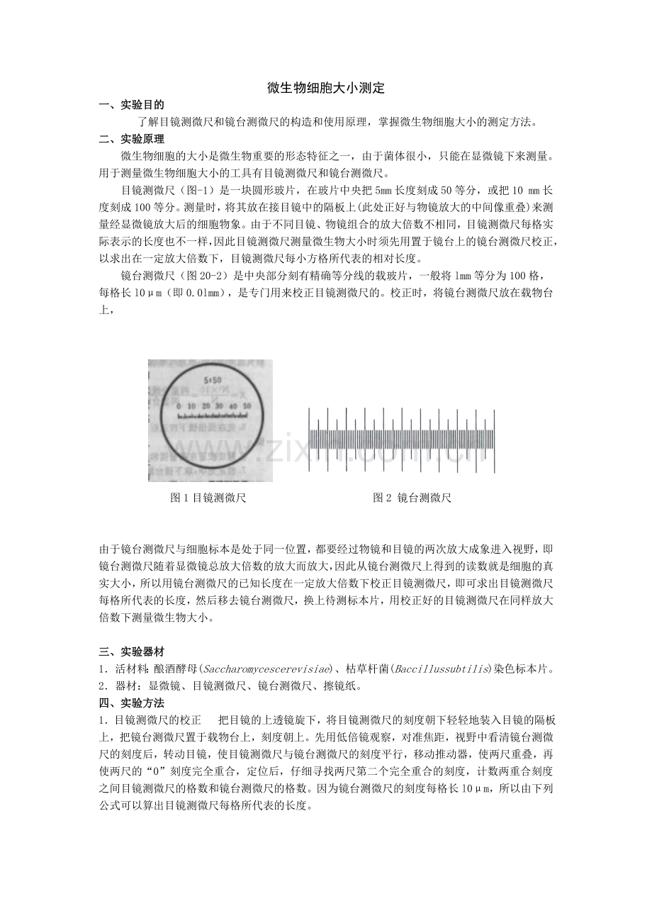 微生物细胞大小的测定方法.doc_第1页