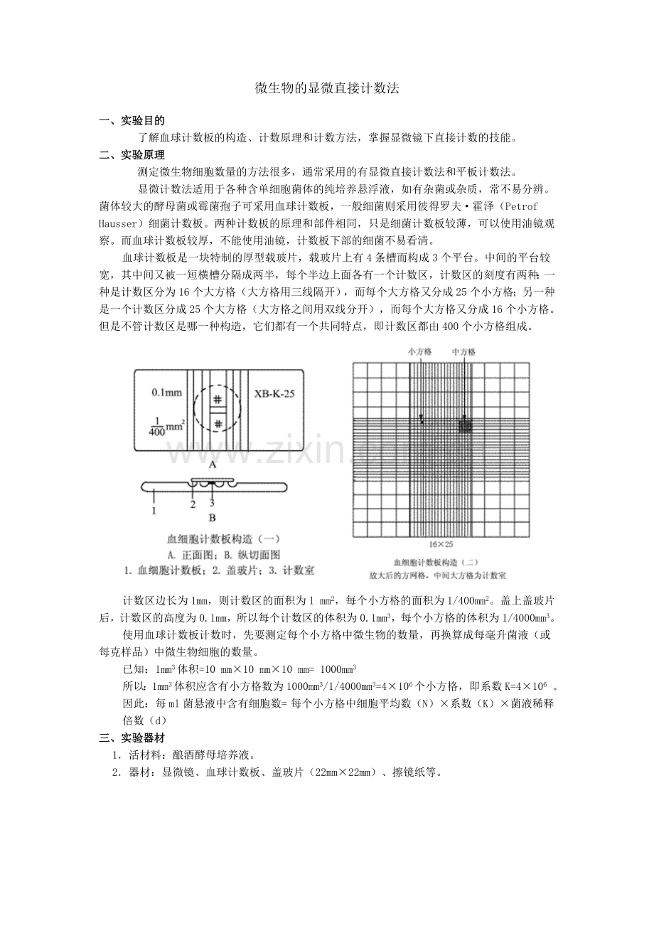 微生物细胞大小的测定方法.doc_第3页