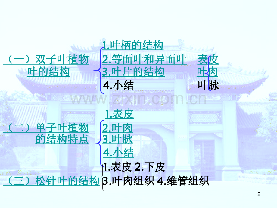 叶解剖结构PPT学习课件.ppt_第2页