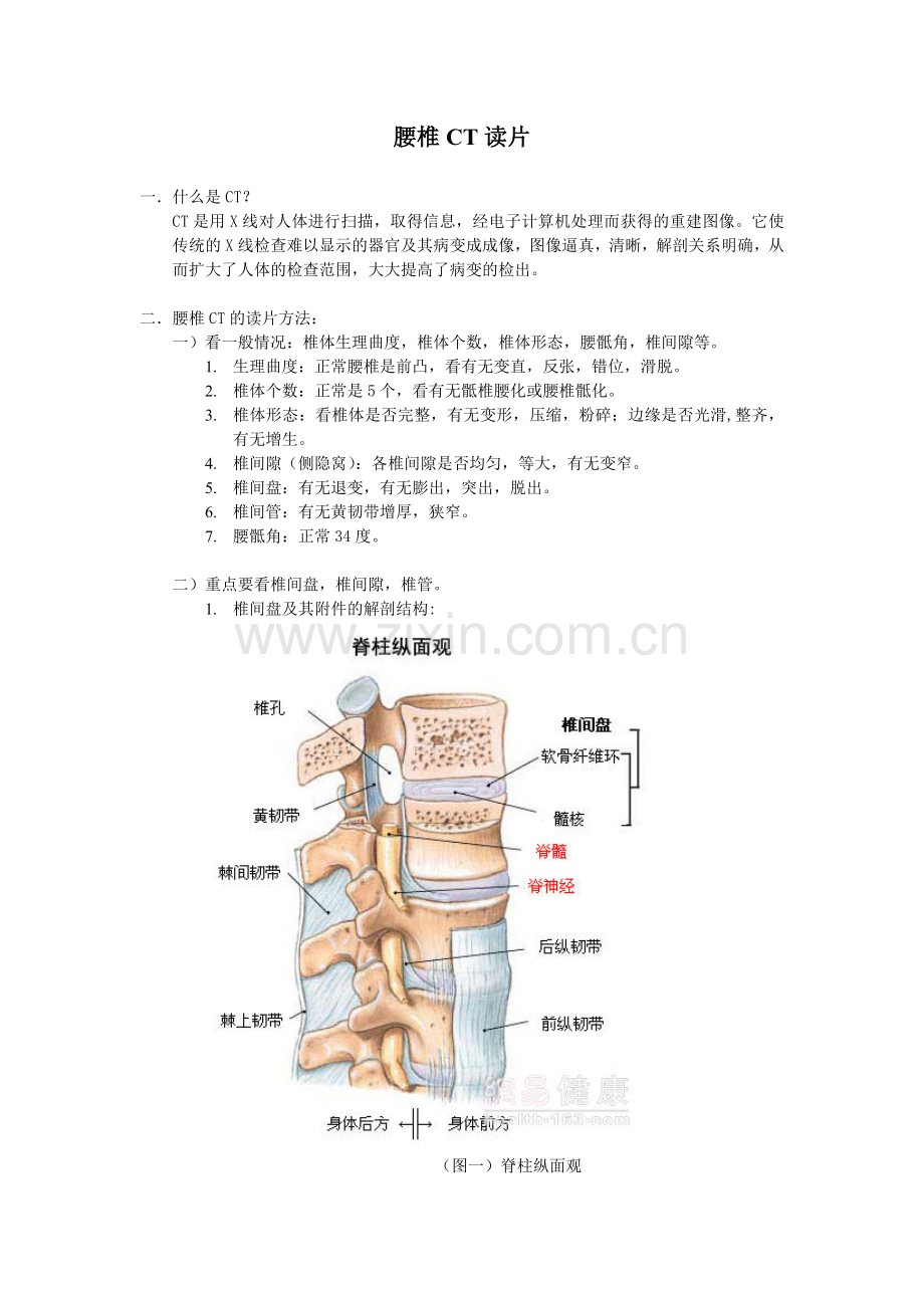 腰椎CT读片.doc_第1页